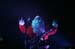 claypool1230068_JFR