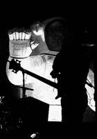 CRW_9079