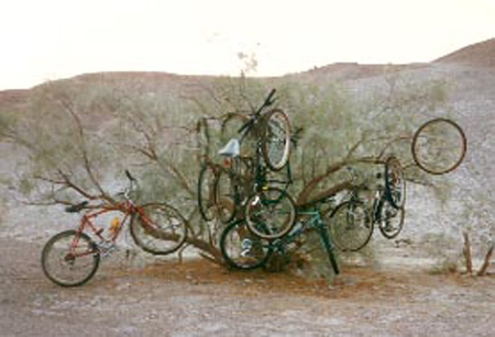 biketree
