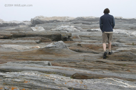 maine030