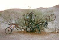 biketree