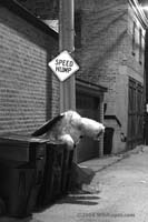 chicago0604_130