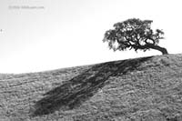 gregsranch012